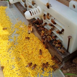 定养喀尔巴阡蜂花粉（瓶装）